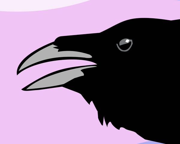 Detail from vector graphic artwork by Mike Martinet of raven in a vintage car showing the raven's head.