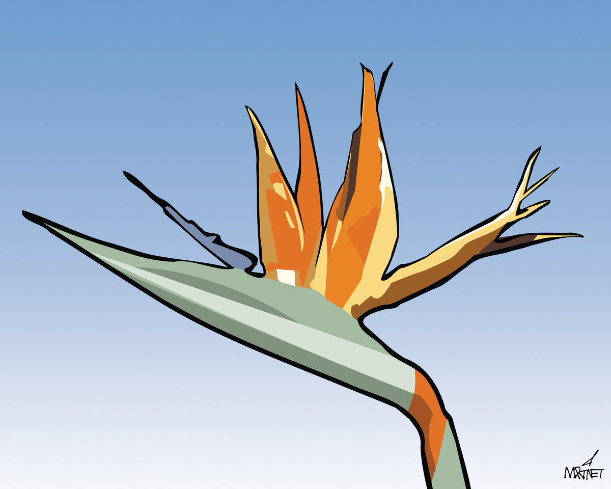 Bird of Paradise Canvas Wrap  BarrMart Designs