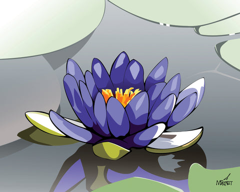 Original vector art print of a blue lotus flower floating in a pond.