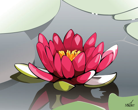 Original vector art print of a pink lotus flower floating in a pond.